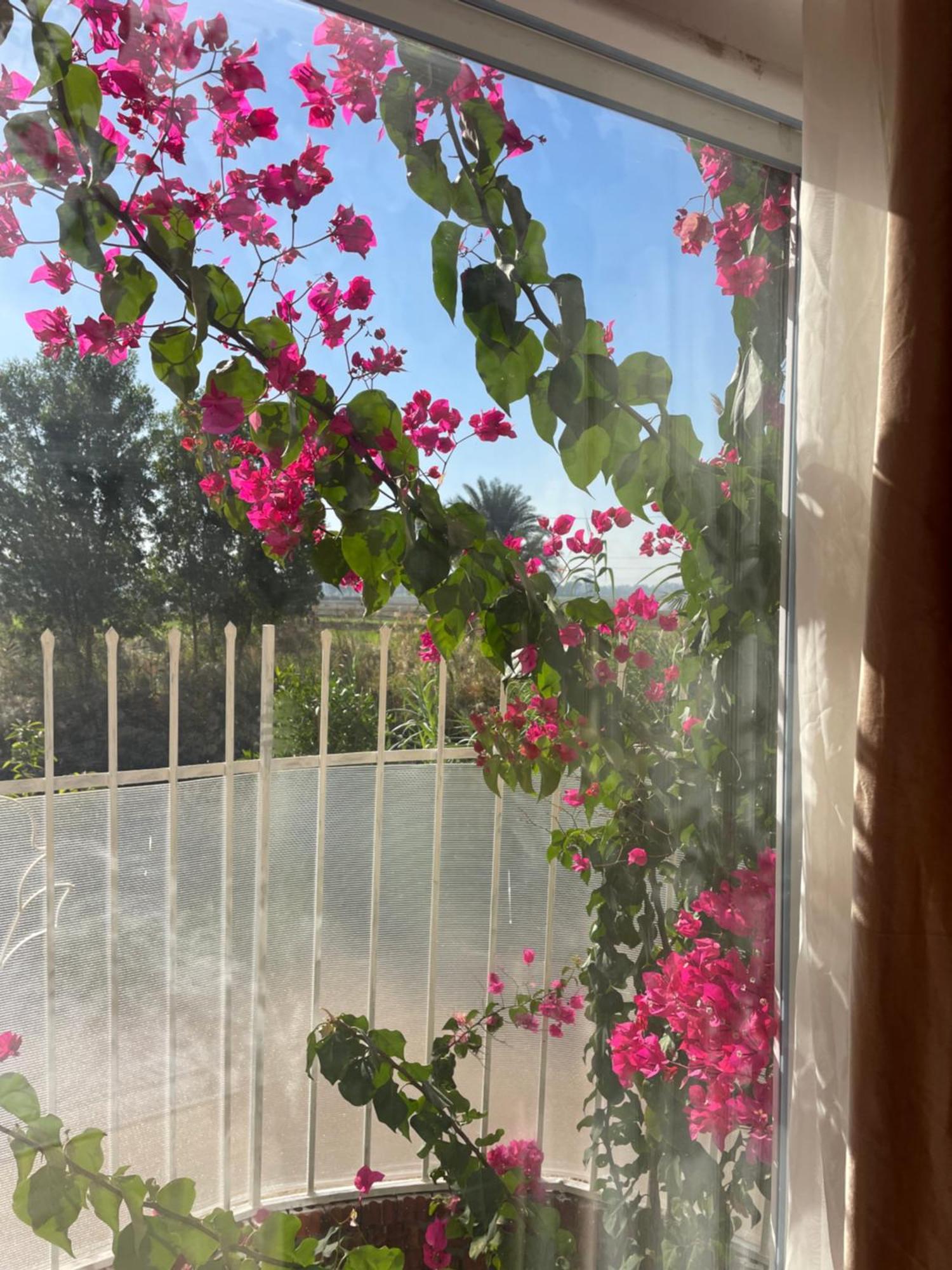 Karima House Hotel Luxor Exterior photo